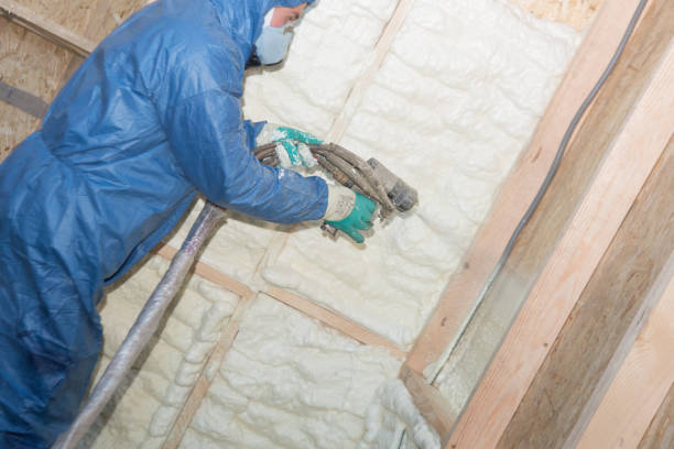 Best Vapor Barrier Installation  in Park Falls, WI